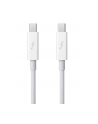 Apple Thunderbolt Cable (0.5 m) - nr 38