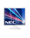 NEC LCD 19' EA193Mi wh IPS 6ms 1000:1 DVI-D Display Port, 1000:1 - nr 7