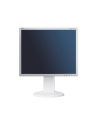 NEC LCD 19' EA193Mi wh IPS 6ms 1000:1 DVI-D Display Port, 1000:1 - nr 11