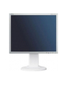 NEC LCD 19' EA193Mi wh IPS 6ms 1000:1 DVI-D Display Port, 1000:1 - nr 34