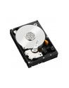 HDD WD CAVIAR 1TB WD1003FZEX SATA III 64MB CACHE - nr 43