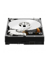 HDD WD CAVIAR 1TB WD1003FZEX SATA III 64MB CACHE - nr 33