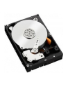 HDD WD CAVIAR 1TB WD1003FZEX SATA III 64MB CACHE - nr 72