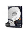 HDD WD CAVIAR 2TB WD2003FZEX SATA III 64MB CACHE - nr 117