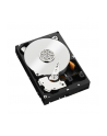 HDD WD CAVIAR 2TB WD2003FZEX SATA III 64MB CACHE - nr 124