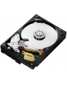 HDD WD CAVIAR 2TB WD2003FZEX SATA III 64MB CACHE - nr 131