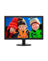 Monitor Philips LED 23.6'' 243V5LSB/00, Full HD, DVI, EPEAT Silver, ES 6.0 - nr 7