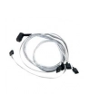 KABEL ADAPTEC Adaptec I-rA-HDmSAS-4SATA-SB-.8M - nr 11