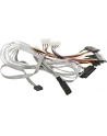 ADAPTEC kabel ACK-I-HDmSAS-4SAS-SB 0 8M - nr 22