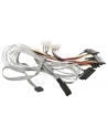 ADAPTEC kabel ACK-I-HDmSAS-4SAS-SB 0 8M - nr 3