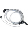 KABEL ADAPTEC Adaptec I-rA-HDmSAS-4SATA-SB-.8M - nr 10