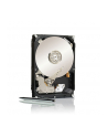 SEAGATE BARRACUDA 7200.14, 1TB SATAIII/600 7200RPM, 64MB cache - nr 24