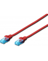 Patch cord U/UTP kat.5e PVC 0,5m czerwony - nr 13