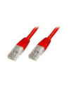 Patch cord U/UTP kat.5e PVC 1m czerwony - nr 8