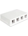 Obudowa montażowa Keystone Biała (4 porty) - nr 24