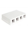 Obudowa montażowa Keystone Biała (4 porty) - nr 9