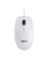 MYSZ LOGITECH OPTICAL B100 USB OEM - BIAŁA - nr 34
