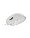 MYSZ LOGITECH OPTICAL B100 USB OEM - BIAŁA - nr 5