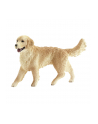 SCHLEICH Golden retriever, suczka - nr 11