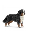 SCHLEICH Bernardyn, suczka - nr 1