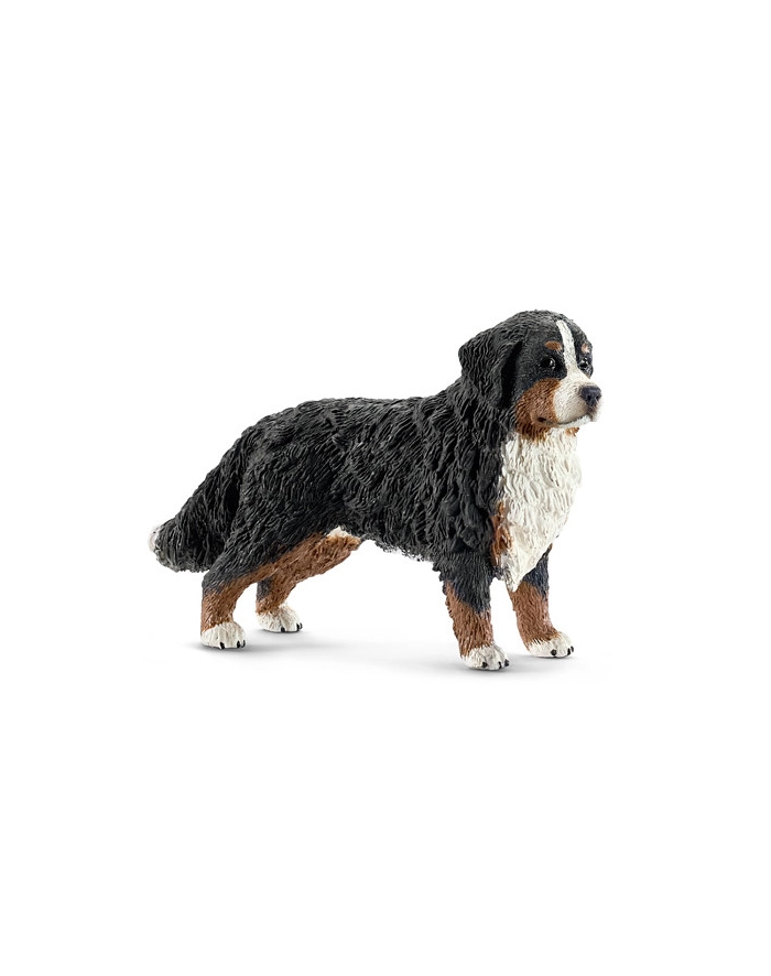 SCHLEICH Bernardyn, suczka główny