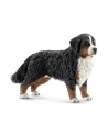 SCHLEICH Bernardyn, suczka - nr 4