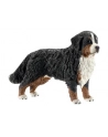 SCHLEICH Bernardyn, suczka - nr 6