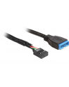 Delock kabel USB 2.0 płyta główna (F) > USB 3.0 płyta główna (M), 0.3m - nr 10
