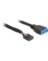 Delock kabel USB 2.0 płyta główna (F) > USB 3.0 płyta główna (M), 0.3m - nr 1