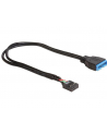 Delock kabel USB 2.0 płyta główna (F) > USB 3.0 płyta główna (M), 0.3m - nr 2