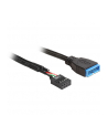 Delock kabel USB 2.0 płyta główna (F) > USB 3.0 płyta główna (M), 0.3m - nr 6