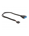 Delock kabel USB 2.0 płyta główna (F) > USB 3.0 płyta główna (M), 0.3m - nr 7
