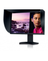 NEC Monitor SpectraView Reference 302 30'' - nr 1