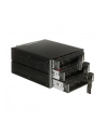 BACKPLANE CHIEFTEC CBP-2131SAS 2x5 25  ->3xHDD/SSD SAS/SATA - nr 23
