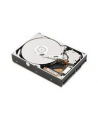 Dysk IBM 1TB 2,5' HS 7,2k NL SATA (81Y9730) - nr 4