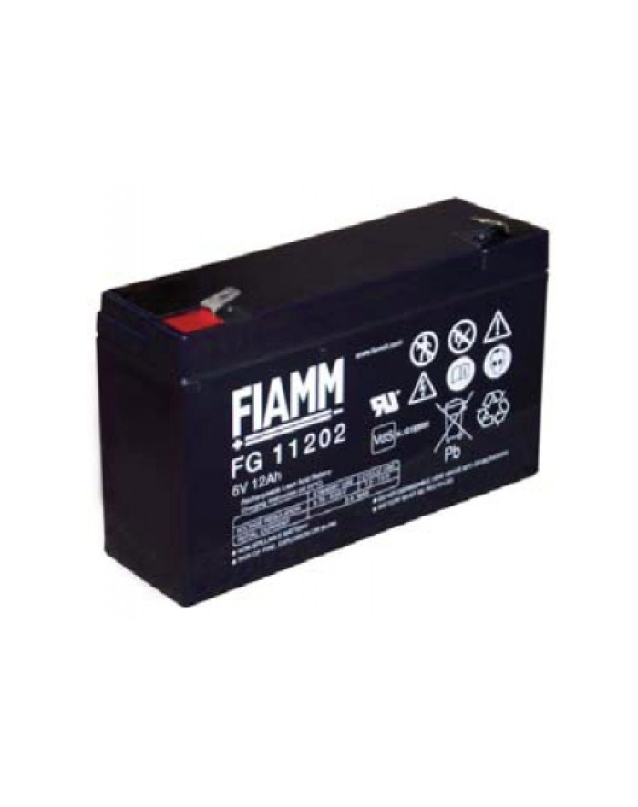 CYBER POWER Baterie - Fiamm FG11202 (6V/12,0Ah - Faston 250) główny