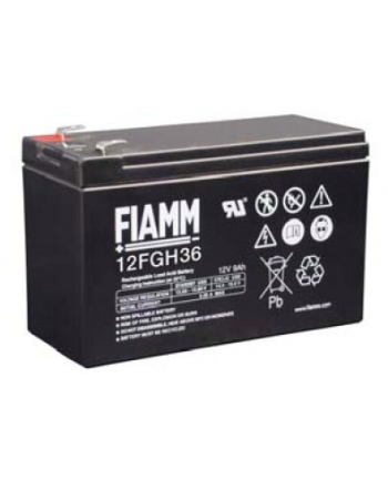 CYBER POWER Baterie - Fiamm 12 FGH 36 (12V/9,0Ah - Faston 250)