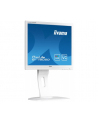 iiyama LCD LED 17'' Prolite B1780SD 17'', DVI, głośniki, 5ms, biały - nr 75