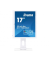 iiyama LCD LED 17'' Prolite B1780SD 17'', DVI, głośniki, 5ms, biały - nr 81