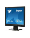 iiyama LCD LED 19'' Prolite P1905S-B2 , 5ms, DVI, głośniki, czarny - nr 13