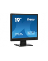 iiyama LCD LED 19'' Prolite P1905S-B2 , 5ms, DVI, głośniki, czarny - nr 17