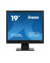 iiyama LCD LED 19'' Prolite P1905S-B2 , 5ms, DVI, głośniki, czarny - nr 19