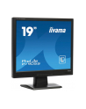 iiyama LCD LED 19'' Prolite P1905S-B2 , 5ms, DVI, głośniki, czarny - nr 22