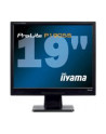 iiyama LCD LED 19'' Prolite P1905S-B2 , 5ms, DVI, głośniki, czarny - nr 33