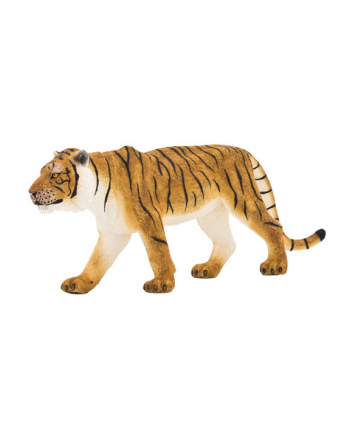 ANIMAL P. Tygrys bengalski