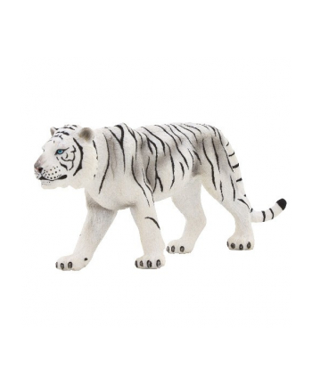 ANIMAL P. Tygrys biały