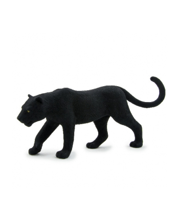 ANIMAL P. Czarna pantera