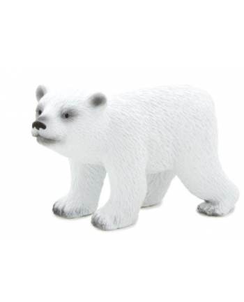 ANIMAL P. Młody niedźwiedź polarny