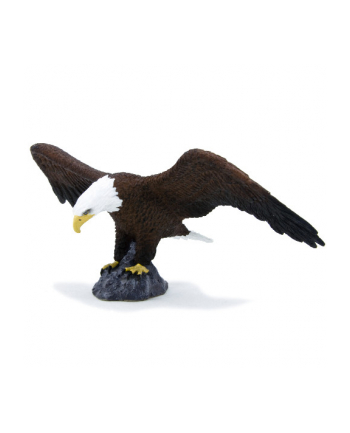 ANIMAL P. Bielik amerykański