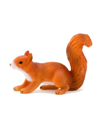 ANIMAL P. Wiewiórka biegnąca